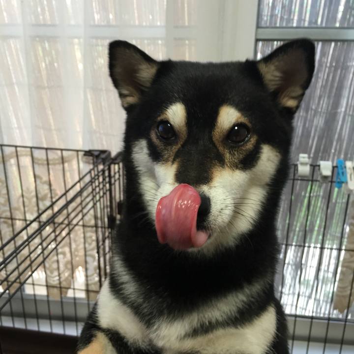 D57bdb7e b605 4ea6 8fa3 3cd5b18090a9