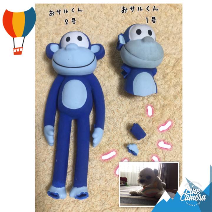 D57c053f 9a03 4e59 878d 16d249424a5e