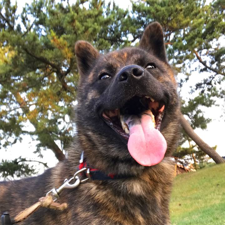 D57ced27 0faf 4f73 86c6 459de86a8c87