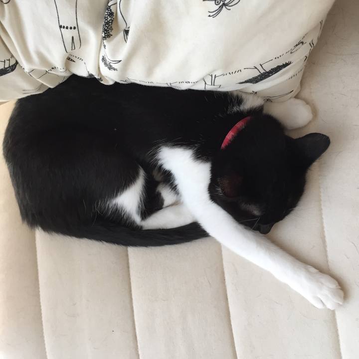 D57d71b5 661d 4066 a397 59e11068dfc6