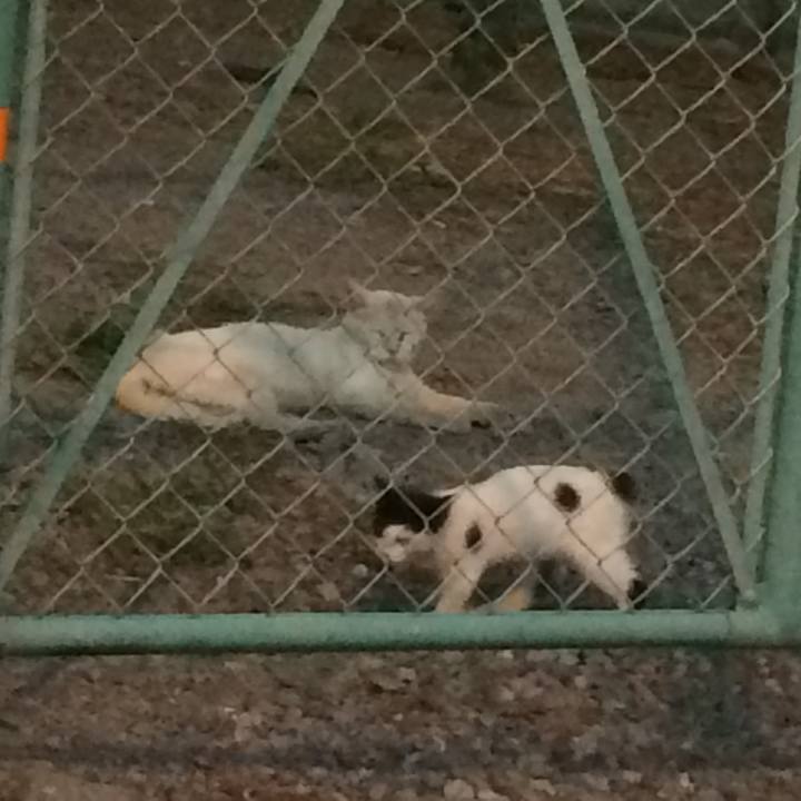 D57db59b d6af 4324 8aab 6797a613ea71