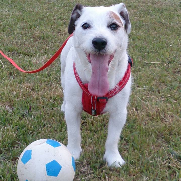 D57dfffb d0cb 462c a62d 03ac2864bb9b