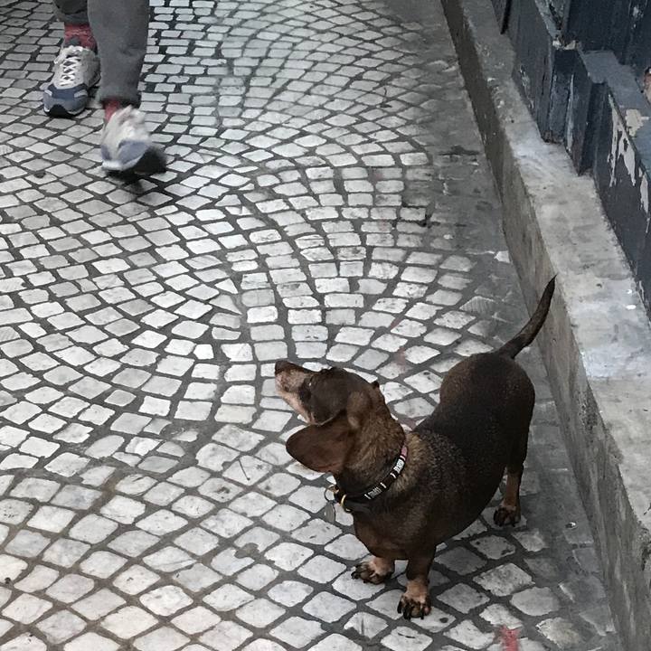 D57e2ddb 89bc 4f13 87b9 52352769bb5e