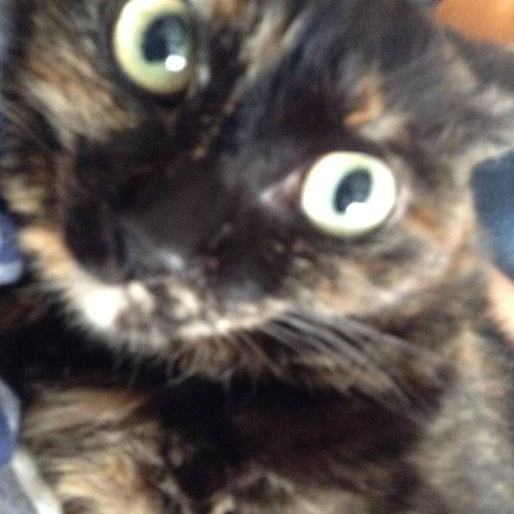 D57ec486 316e 45a8 9bb0 4a8794be06ec