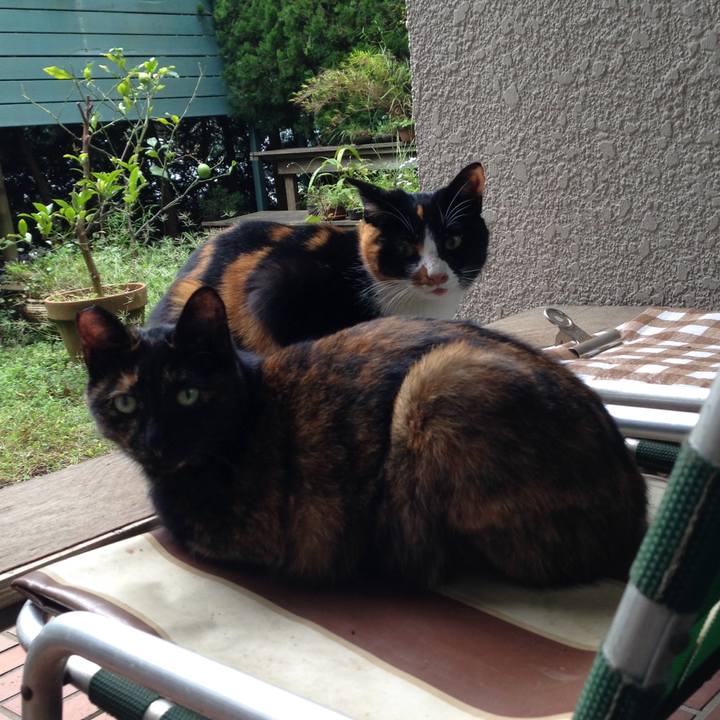 D57ecd28 e48a 4dc7 980b be8dc8a5b0ae