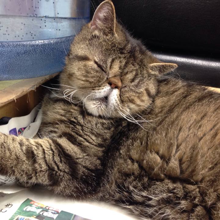 D57f629e 999e 4e48 97c5 a718162ed910