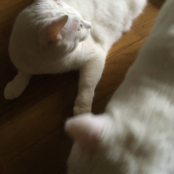 D57f7900 2848 4061 989e 5e24264c8ac8