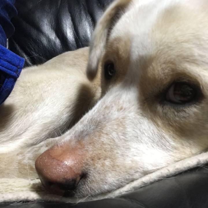 D5801269 1363 437c 8ac5 c8dfc1e22bac