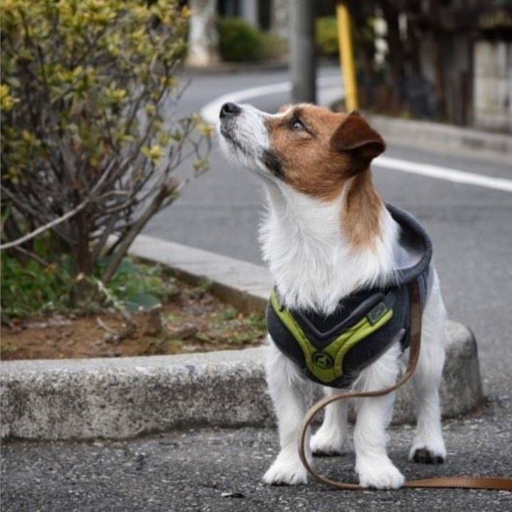 D58062ab de6e 4adf b10c 218f5a1216df