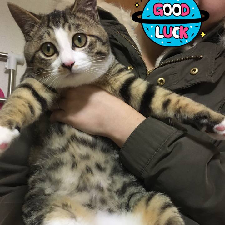 D580c41d d73e 4807 9547 36254b0ff829