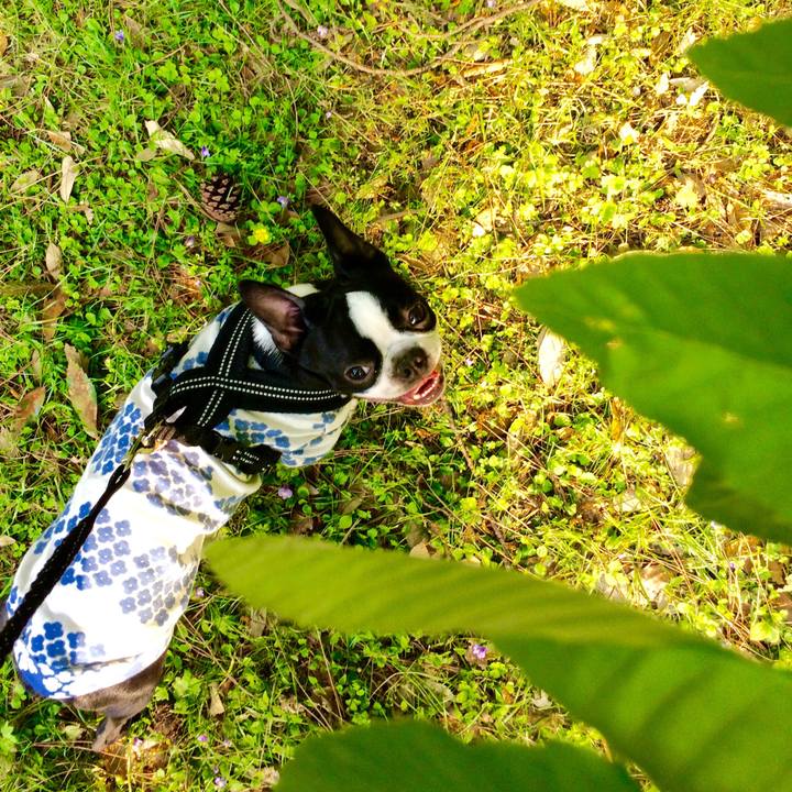 D580f119 8cde 4c7e 83a4 b503e7ce9ce8