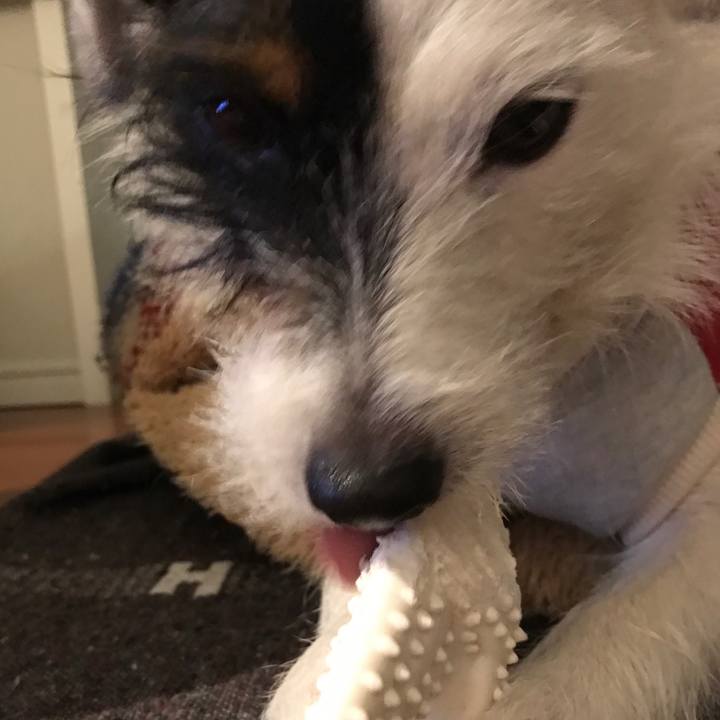 D5814574 8d59 48ea 9d29 f285b164b760