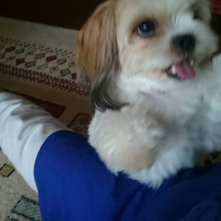 D581aaf6 2176 41dd 881e a7f93e436665