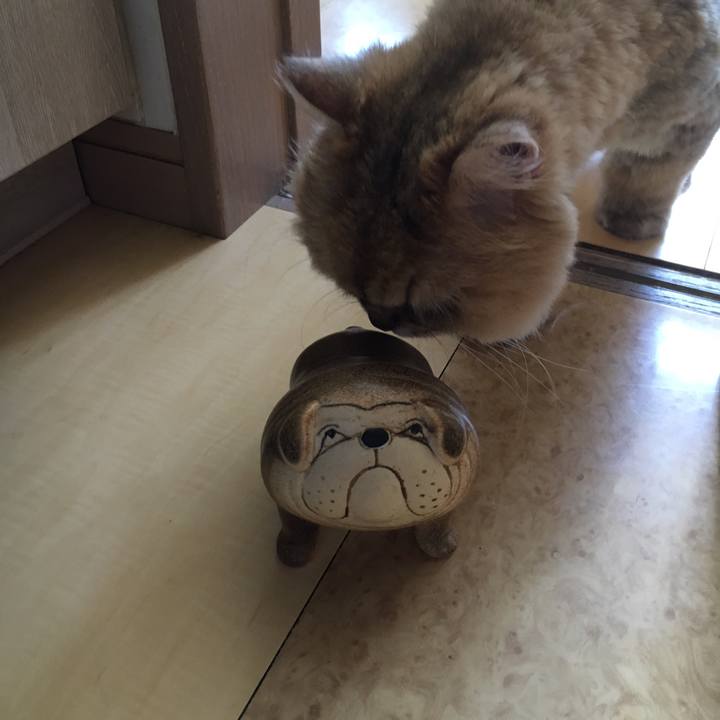 D5831f92 5fd4 45cb a5cc 0a7a0e47720e