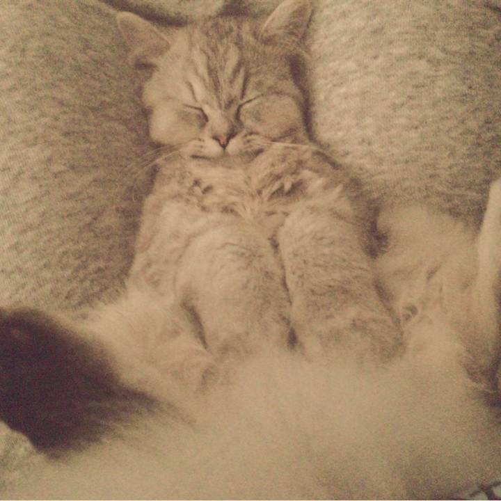 D583917e f8b0 41fe aeff 5f3832154391