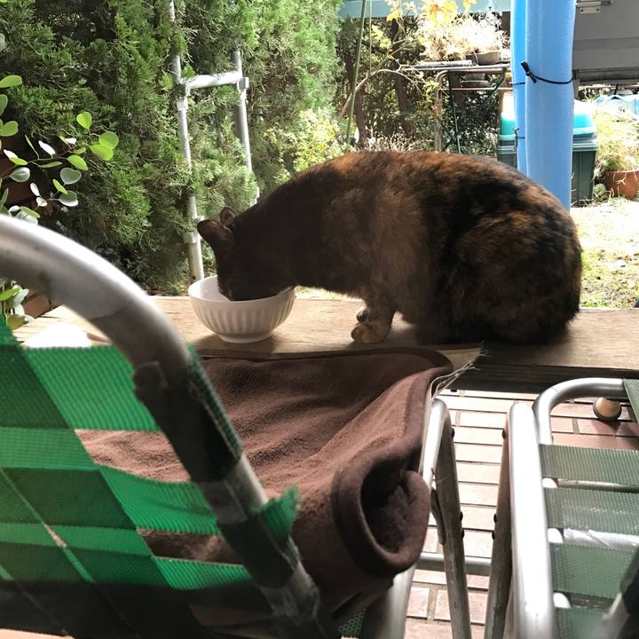 D583d93d aca6 4eed b1d1 f592efe3b6f5