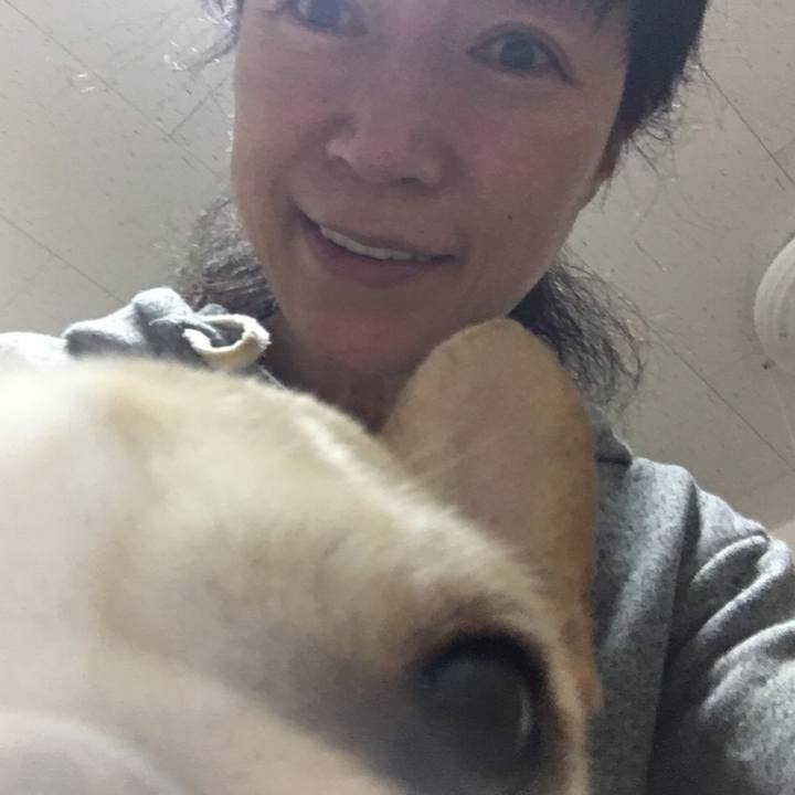 D5843ca8 91da 4042 958e 1e13d3871a1e