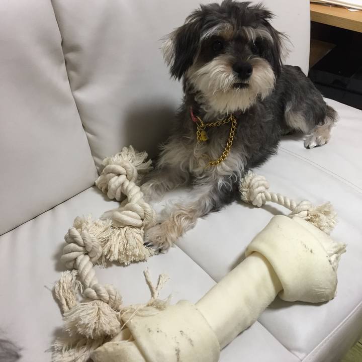 D5845ae5 bd37 4556 acbc c79d6cabc52a