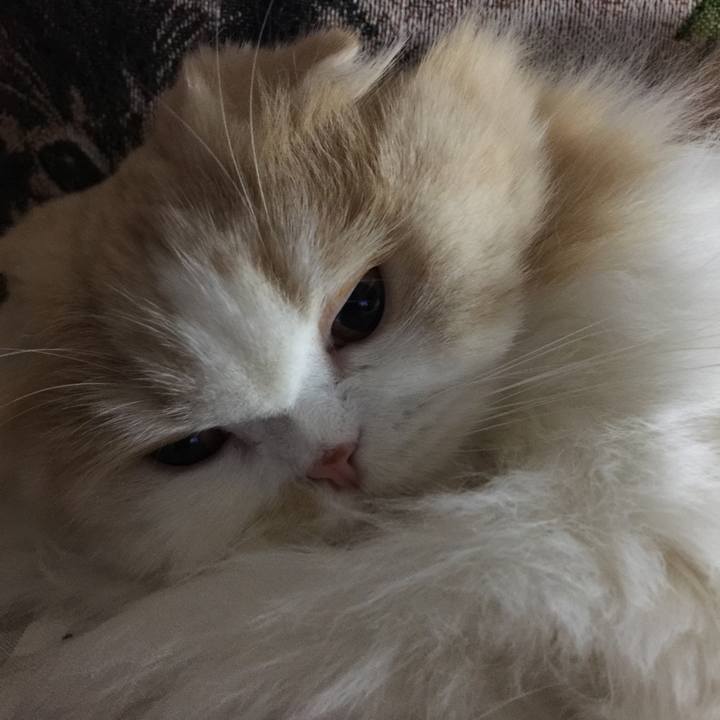 D584822a 3e07 4078 8218 9d1fa7112eeb