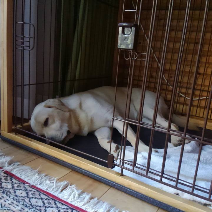 D5857139 180c 4f8a a968 237076b8ce6a