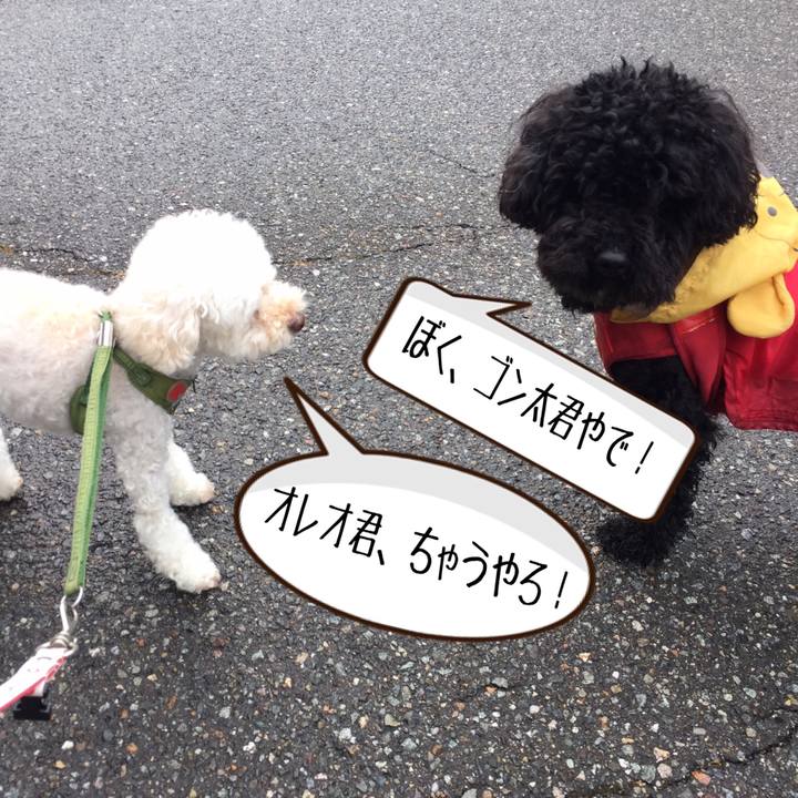 D58596b1 8707 40e9 90ec db20cd94f950