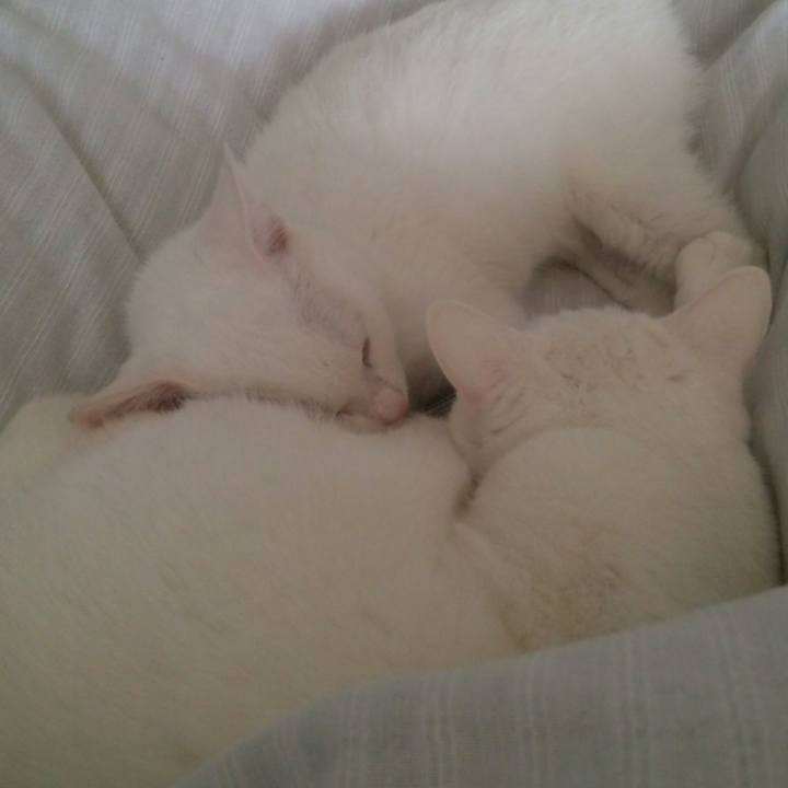 D5859ad5 4b78 4196 8158 48039e4524f8