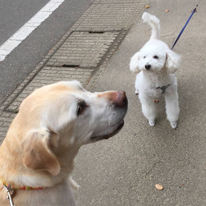 D5860240 5260 4acb 838d b0f0d38c1eec