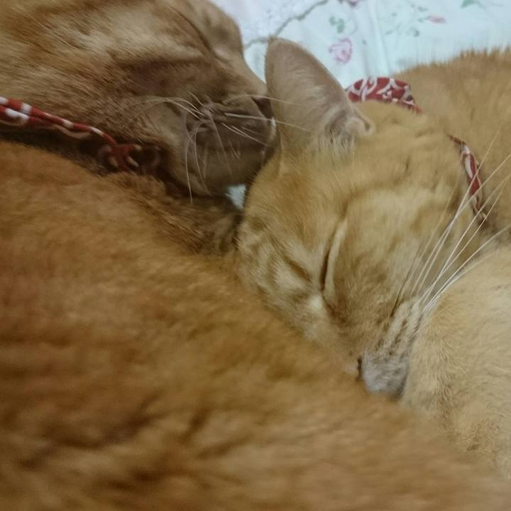 D5868bb7 7071 4881 a289 15486d12ac4a