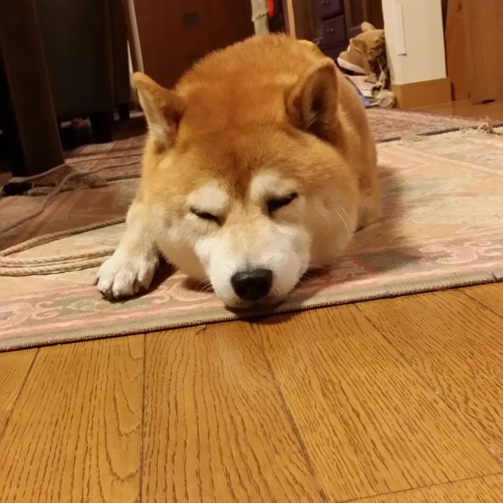 D586ed1d 0b6a 4867 aa7f 1307a4504d7a