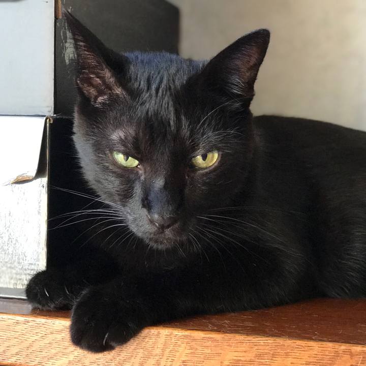 D586fcd8 d8e8 4450 b8e8 cf46f3755bd8