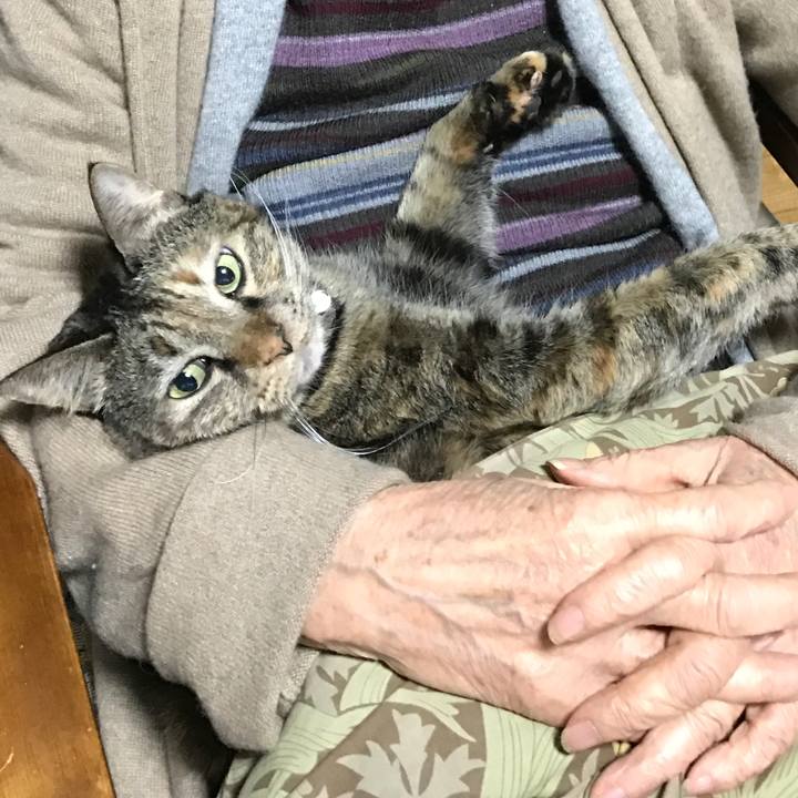 D58714fa 29b0 4898 8ff7 70cfcc6c60a1