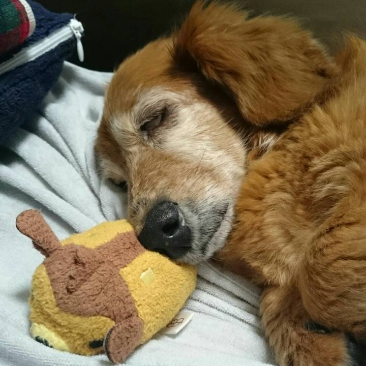 D5873c36 d94d 4748 a551 bd63d1575eb7