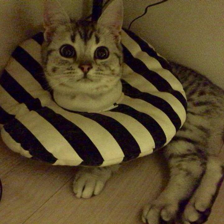 D5876ff3 8350 42e4 998f 0ee84ba6863b