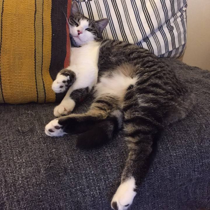 D58804b3 c0eb 44fc 8302 d62779940f3c