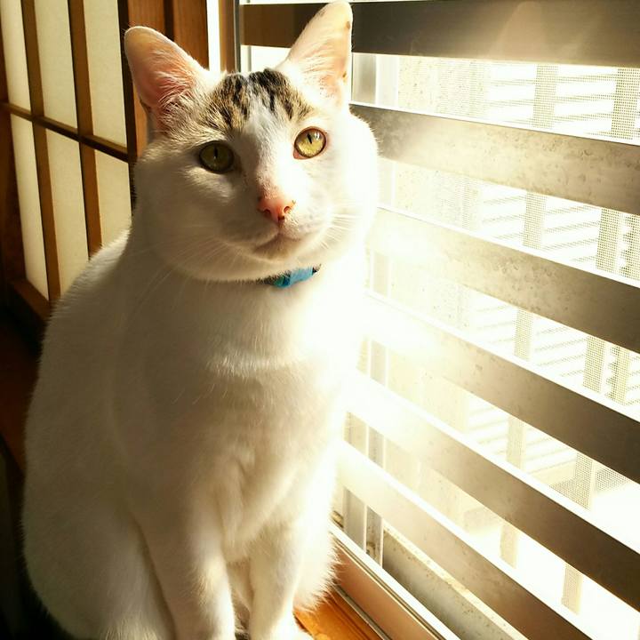 D5888aba 94b6 45e7 b04b 9f6f757726b3