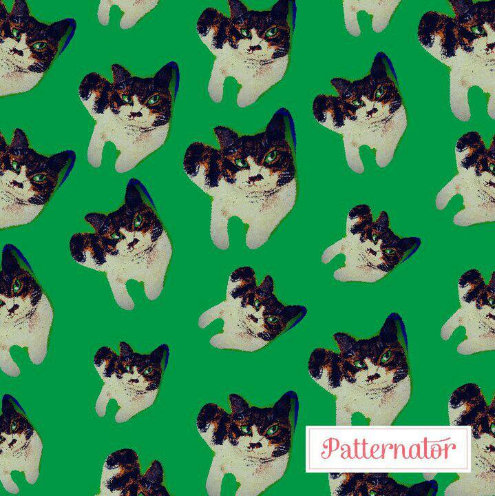 D58891e6 c958 402c bf76 eb3e6bec20c6