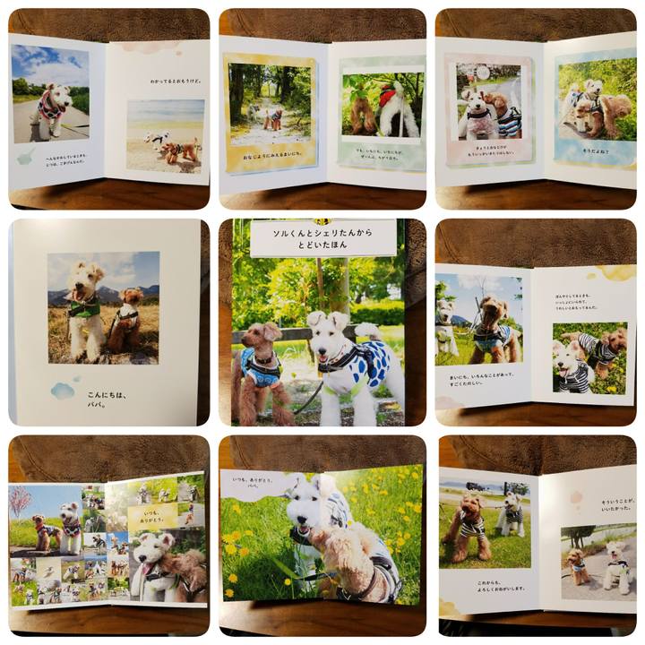 D5891792 3343 48cc aadd 5502269eae1d