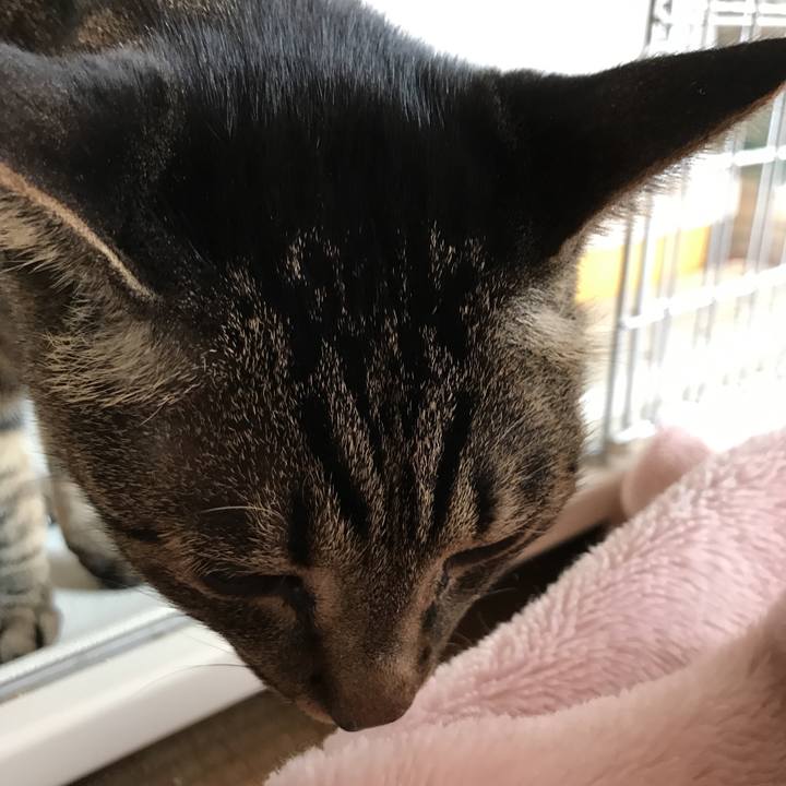 D58ad73a 17fa 4277 88df 33d5ee04a493