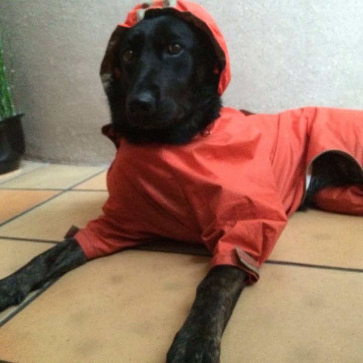 D58b0266 674f 4a2b a269 ec5e6815d64d