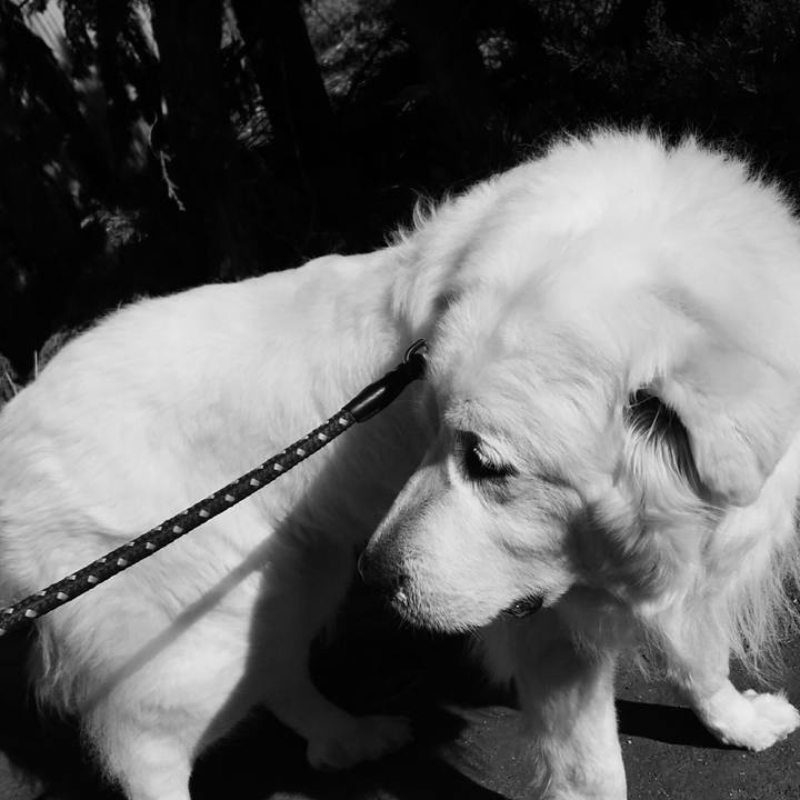 D58bb388 c172 4d5d 9511 30f769588f5f