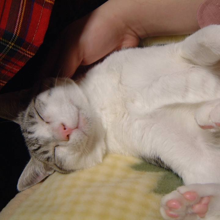 D58bffa4 59c6 40f5 86a7 46c97eb4ecd7