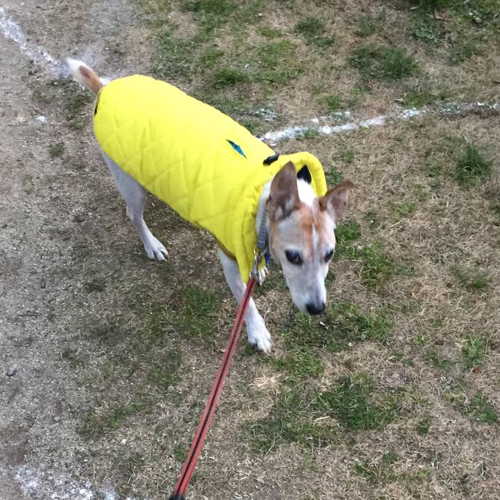 D58c3ddb b9b9 4018 b76b 7478ddb49273