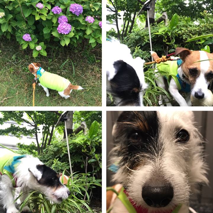 D58c9ee0 ba97 44dd ab76 0aade31ab642