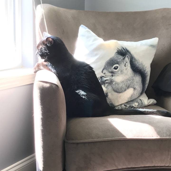 D58ca044 4b4d 497e a36f f99cdd530984