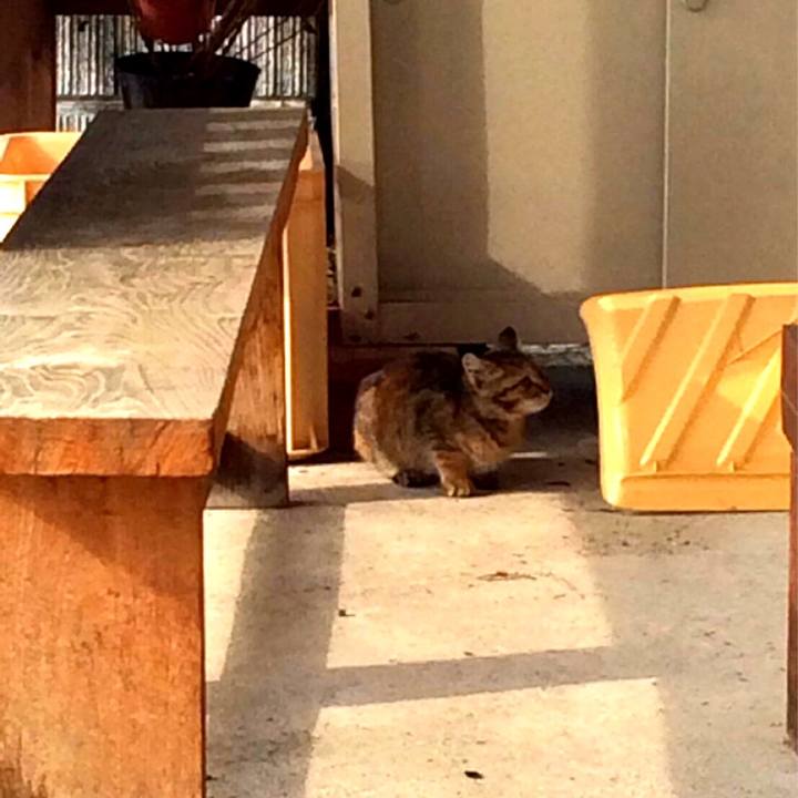 D58d3596 7a95 40d9 819f 748350e0d1a1