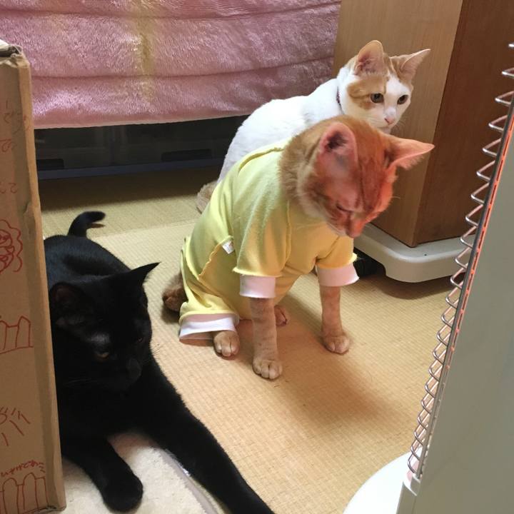 D58d639a c008 494d 9dc2 65b919804b80