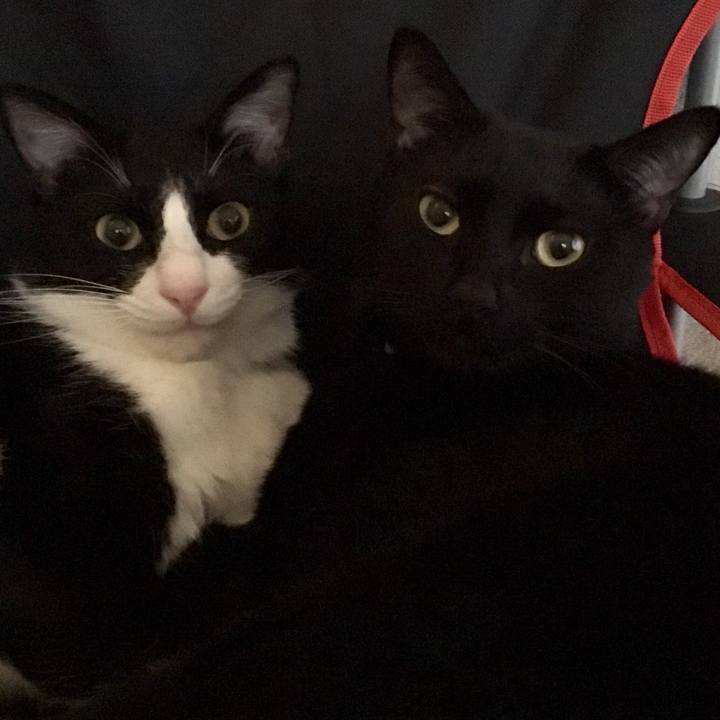 D58df87f 889a 48ed a2a6 dc004ca8c66e