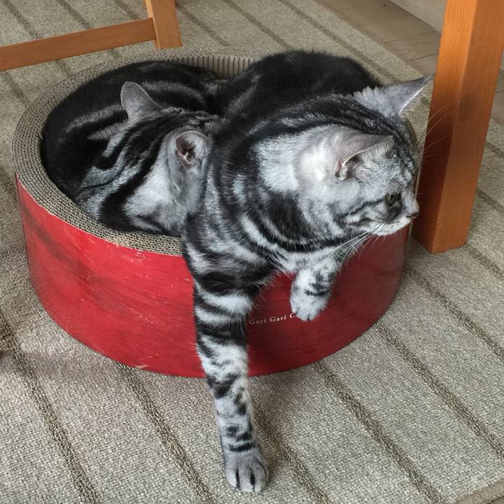 D58dfbd0 bdd1 41a9 a7f5 6b53983b7b88