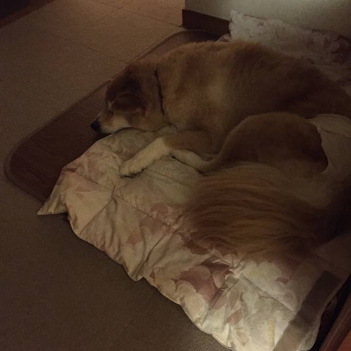 D58e5b5e d25a 4450 b4e5 0c4c678ecc17