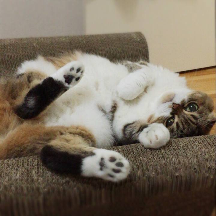 D58fe669 5ec5 4740 9b29 886fd2a49f7a